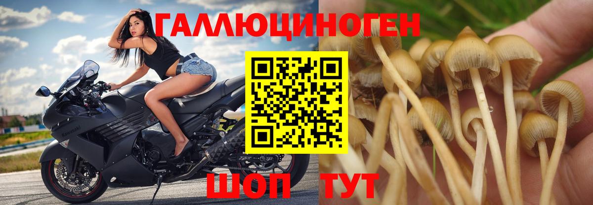 Каннабис  Вход с VPN  Осинники  Гашиш  ЭКСТАЗИ  МЕФ кристаллы  Гашиш  Cocaine 